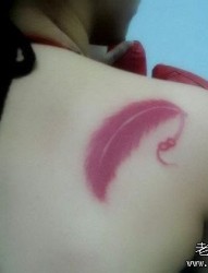 一幅肩部红色羽毛纹身图片由纹身520图库推荐