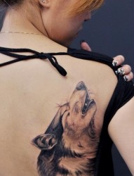美女后背狼头纹身图片由纹身520图库推荐