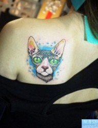 一幅女人肩背彩色猫纹身图片由纹身520图库推荐
