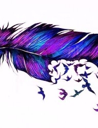 漂亮的彩色羽毛纹身手稿