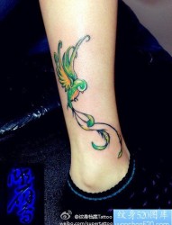 女人腿部小巧的小鸟纹身图片