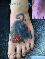 女人脚背可爱的猫咪纹身图片