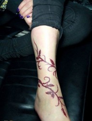 美女脚踝到脚腕潮流的藤蔓纹身图片
