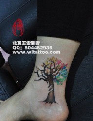 女人脚踝处漂亮小巧的彩色小树纹身图片