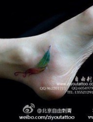 女人脚踝处小巧精致的羽毛纹身图片