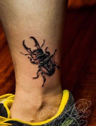 纹身520图库分享一幅脚踝甲虫纹身图片