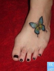 脚背彩色蝴蝶纹身图片