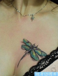 美女胸部蜻蜓纹身图片作品欣赏