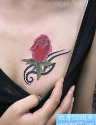 美女胸部诱人红玫瑰纹身图片