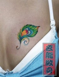 女孩子胸部好看的孔雀羽毛纹身图片