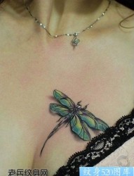 美女胸部好看的蜻蜓纹身图片