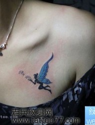 美女胸部好看的蝴蝶精灵纹身图片