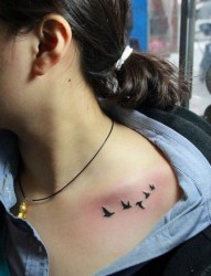 美女胸部流行的小鸟纹身图片