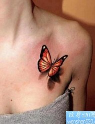 女人胸部精美的彩色蝴蝶纹身图片
