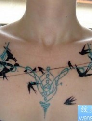 女人胸部图腾燕子纹身图片