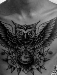 胸部一幅超酷的猫头鹰纹身图片