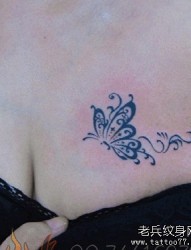 美女胸部漂亮的图腾蝴蝶纹身图片