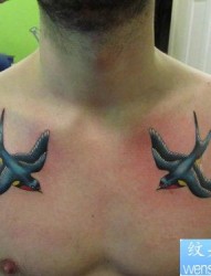 男人胸部好看的彩色小燕子纹身图片