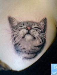 美女胸部一幅猫咪纹身图片