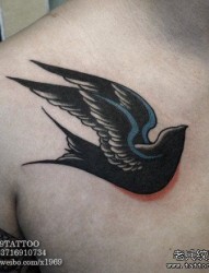 胸前潮流流行的燕子纹身图片