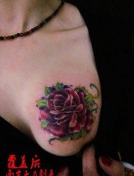 美女胸部唯美漂亮的玫瑰花纹身图片