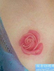美女胸部漂亮的粉色玫瑰花纹身图片