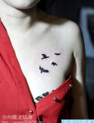女人胸部唯美小巧的图腾小鸟纹身图片
