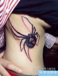 美女胸部一幅很帅潮流的蜘蛛纹身图片