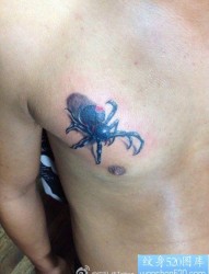 胸部一幅潮流经典的蜘蛛纹身图片