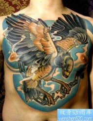 胸口上一幅漂亮的欧美老鹰纹身图片