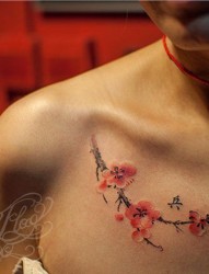 一幅前胸梅花纹身图片由纹身520图库推荐