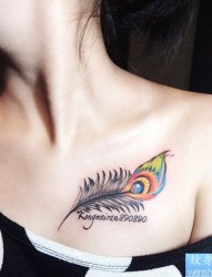 最好的纹身馆推荐一幅女人胸部彩色孔雀羽毛纹身