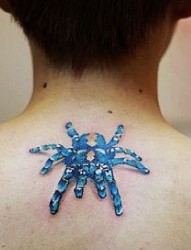 颈部纹身图片：颈部彩色蜘蛛纹身图片纹身作品