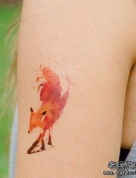 一幅胳膊彩色狐狸纹身图片由纹身520图库推荐