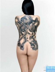 一幅女人满背黑灰凤凰纹身图片由纹身520图库推荐
