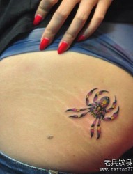 女人腿部一幅彩色蜘蛛纹身图片