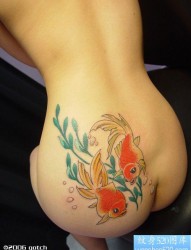 女人臀部彩色小金鱼纹身图片