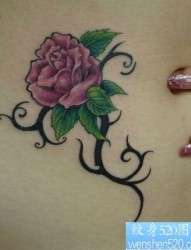 美女腹部彩色玫瑰花纹身图片纹身作品
