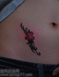 美女腹部唯美好看的樱花纹身图片