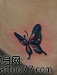 美女腹部经典好看的蝴蝶纹身图片