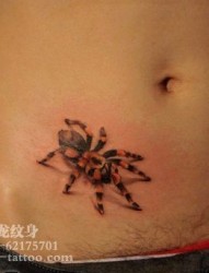另类的腹部蜘蛛纹身图片