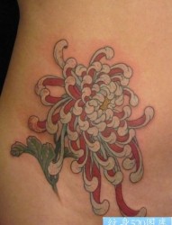 一幅美女腹部菊花纹身图片