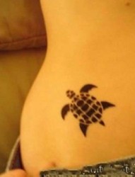 美女腹部可爱的小海龟纹身图片