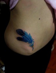 美女腹部唯美好看的羽毛纹身图片