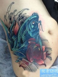 美女腹部漂亮的彩色鲤鱼纹身图片