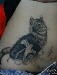 女孩子腹部一幅黑灰小猫咪纹身图片