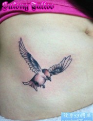 女性腹部流行好看的小燕子纹身图片