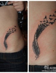 女人腹部唯美的羽化燕纹身图片