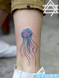 女人腿部漂亮的彩色水母纹身图片