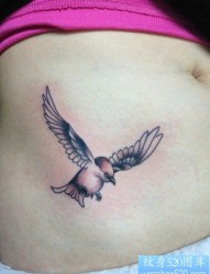 美女腹部唯美潮流的小燕子纹身图片